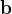 \mathbf{b}
